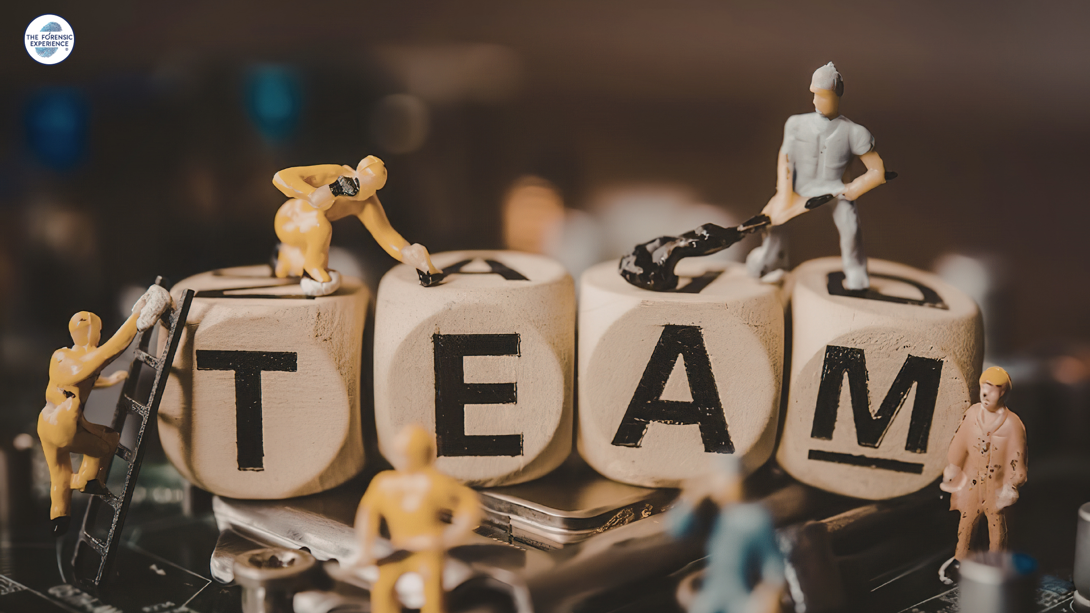teambuilding traits